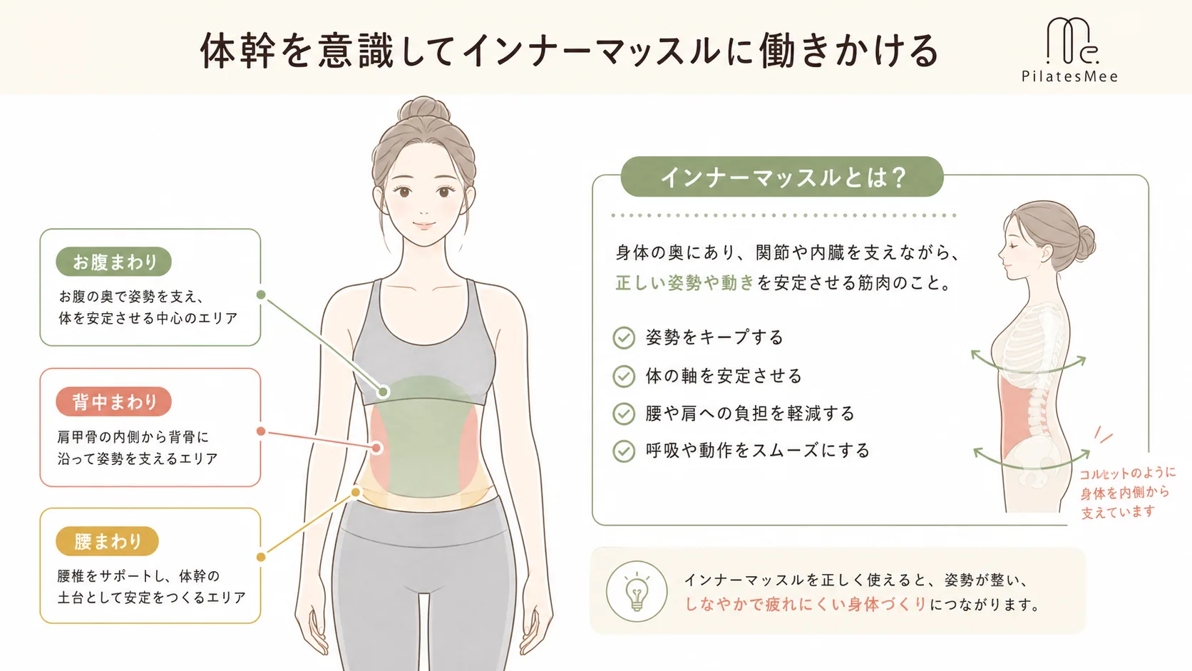 体幹を意識してインナーマッスルに働きかける 体幹を意識してインナーマッスルに働きかけるを説明するPilates Meeの記事内画像