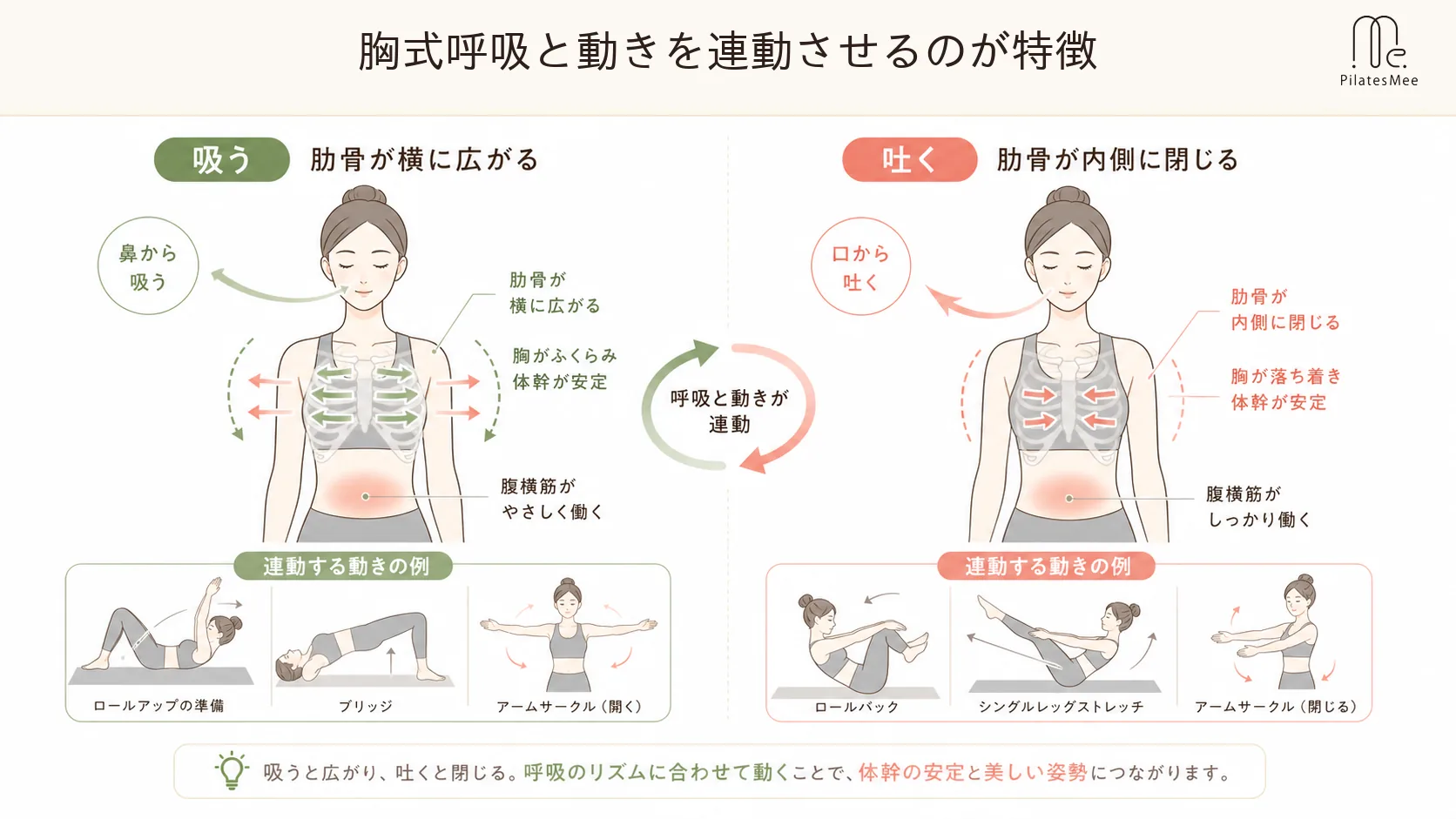 胸式呼吸と動きを連動させるのが特徴 胸式呼吸と動きを連動させるのが特徴を説明するPilates Meeの記事内画像