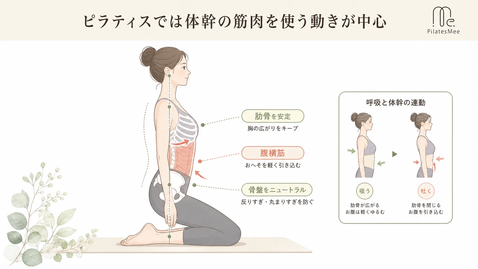 ピラティスでは体幹の筋肉を使う動きが中心を説明するPilates Meeの記事内画像