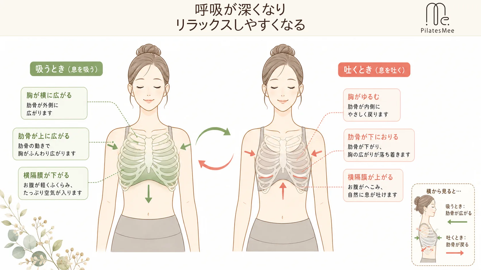 呼吸が深くなりリラックスしやすくなるを説明するPilates Meeの記事内画像