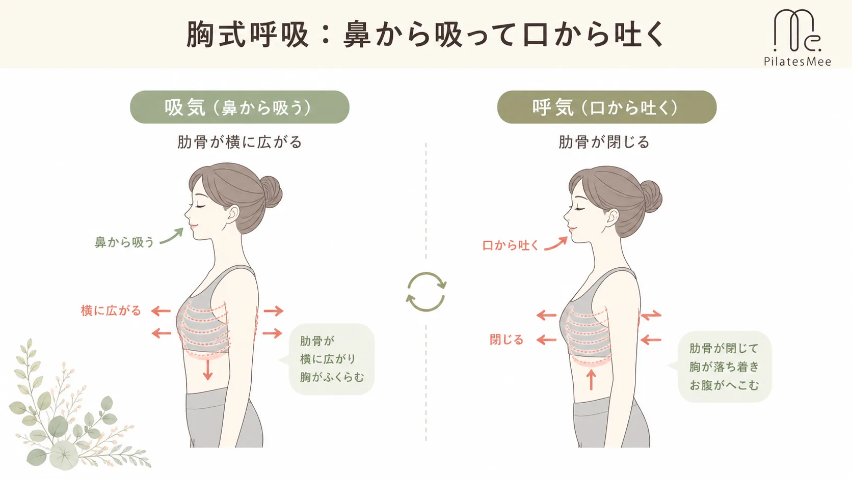 胸式呼吸:鼻から吸って口から吐く 胸式呼吸:鼻から吸って口から吐くを説明するPilates Meeの記事内画像
