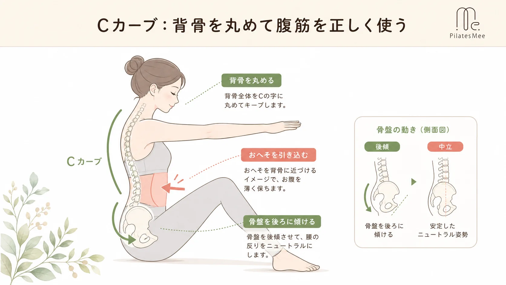 Cカーブ:背骨を丸めて腹筋を正しく使う Cカーブ:背骨を丸めて腹筋を正しく使うを説明するPilates Meeの記事内画像