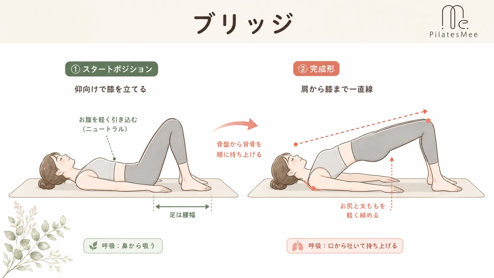 ブリッジ ブリッジを説明するPilates Meeの記事内画像