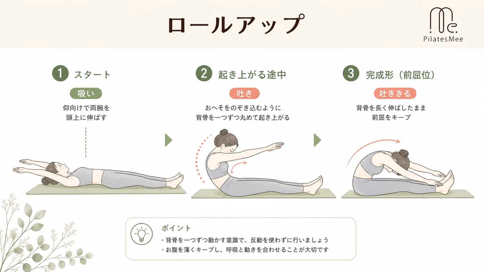 ロールアップ ロールアップを説明するPilates Meeの記事内画像