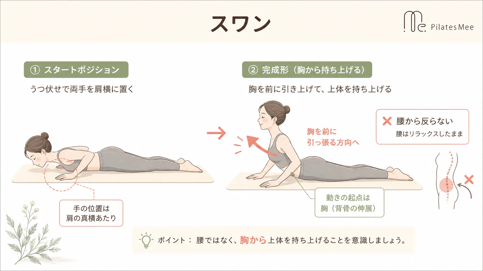 スワン スワンを説明するPilates Meeの記事内画像
