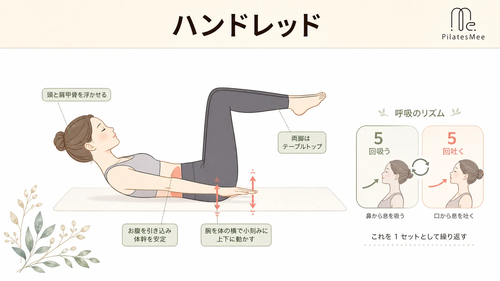 ハンドレッド ハンドレッドを説明するPilates Meeの記事内画像