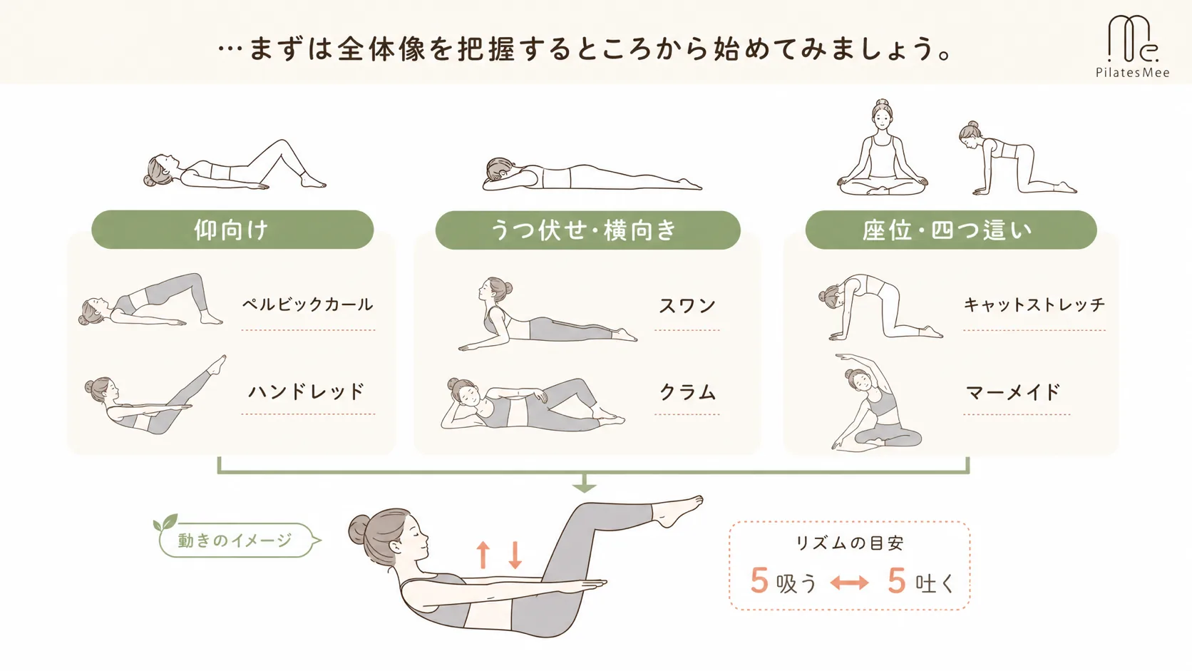 …まずは全体像を把握するところから始めてみましょう。を説明するPilates Meeの記事内画像