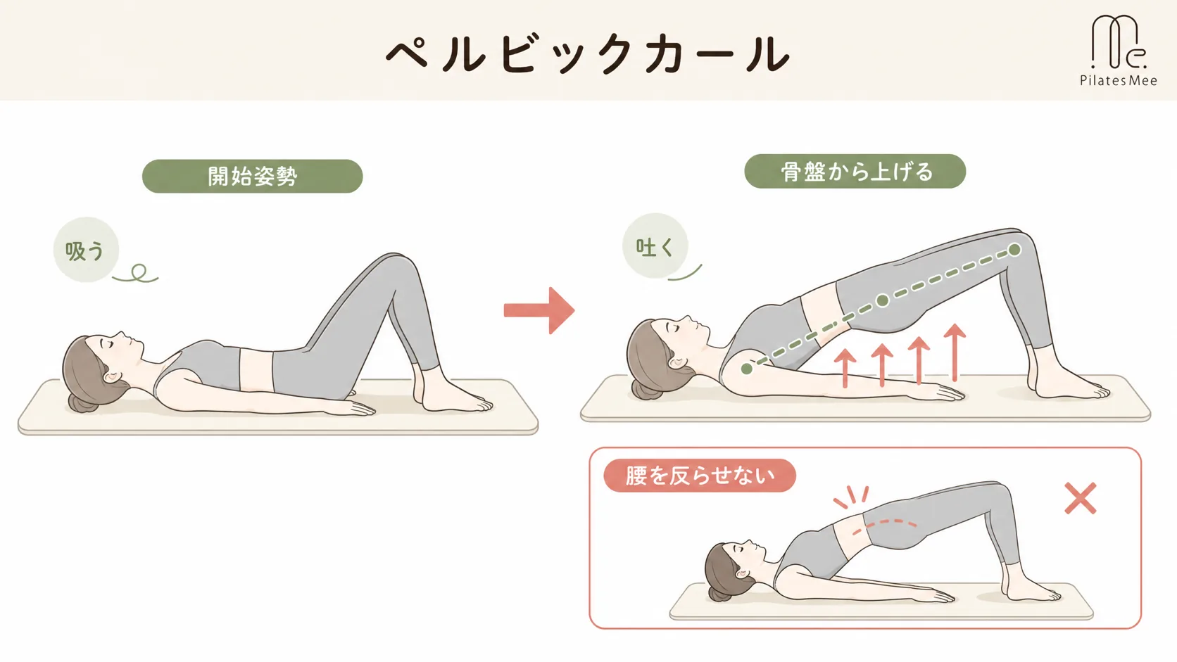 ペルビックカールを説明するPilates Meeの記事内画像