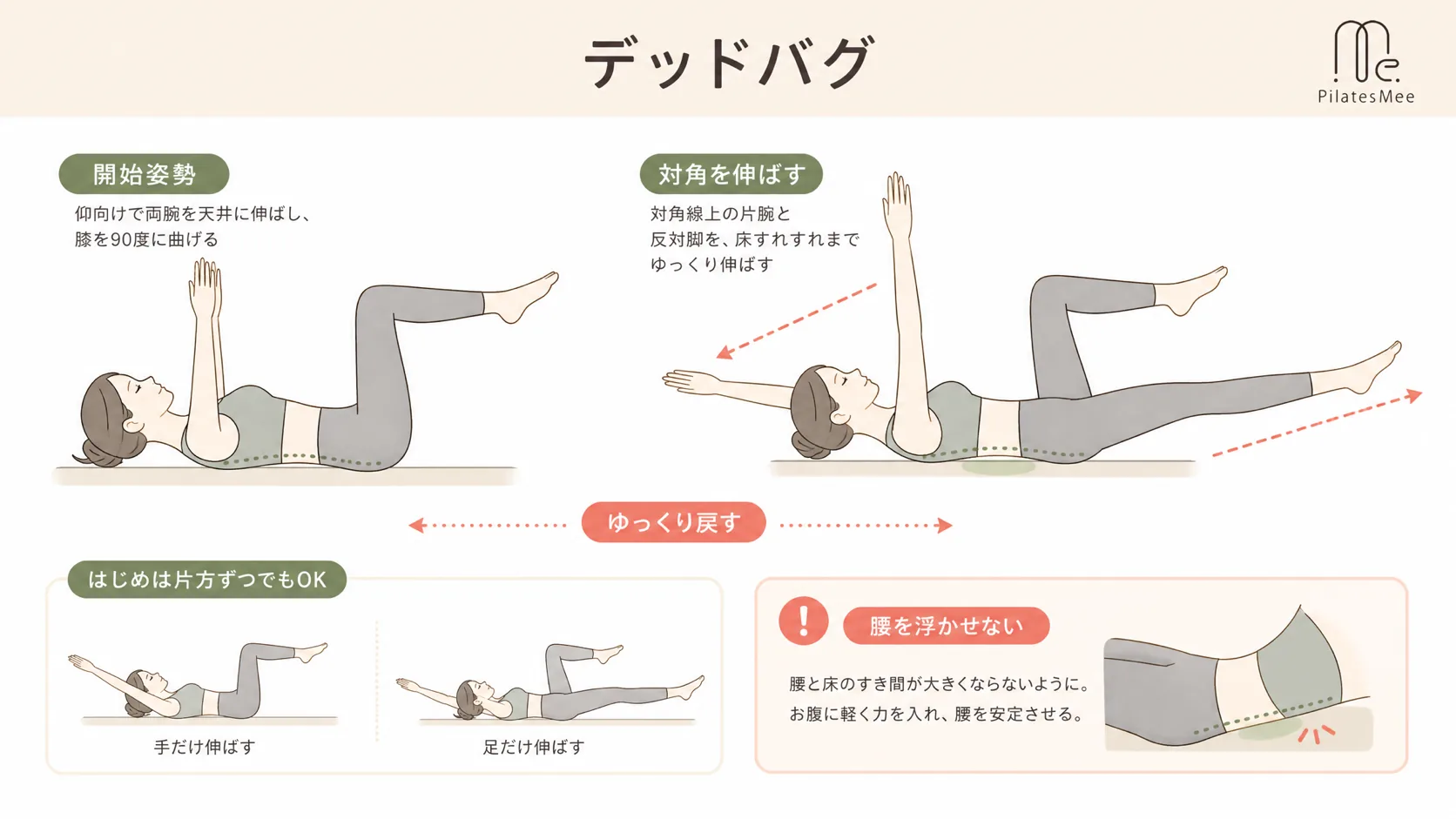 デッドバグを説明するPilates Meeの記事内画像