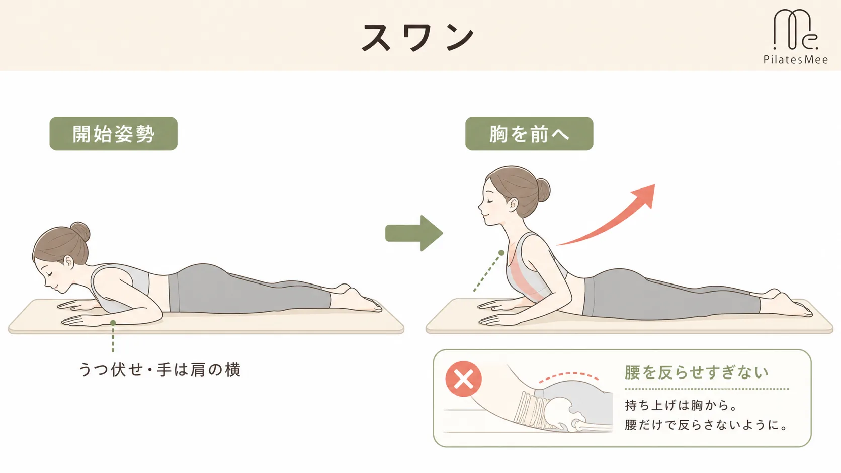 スワンを説明するPilates Meeの記事内画像