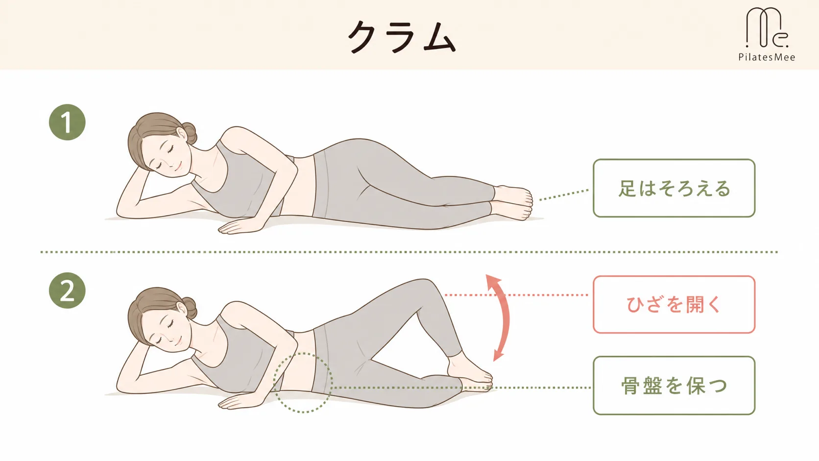 クラムを説明するPilates Meeの記事内画像