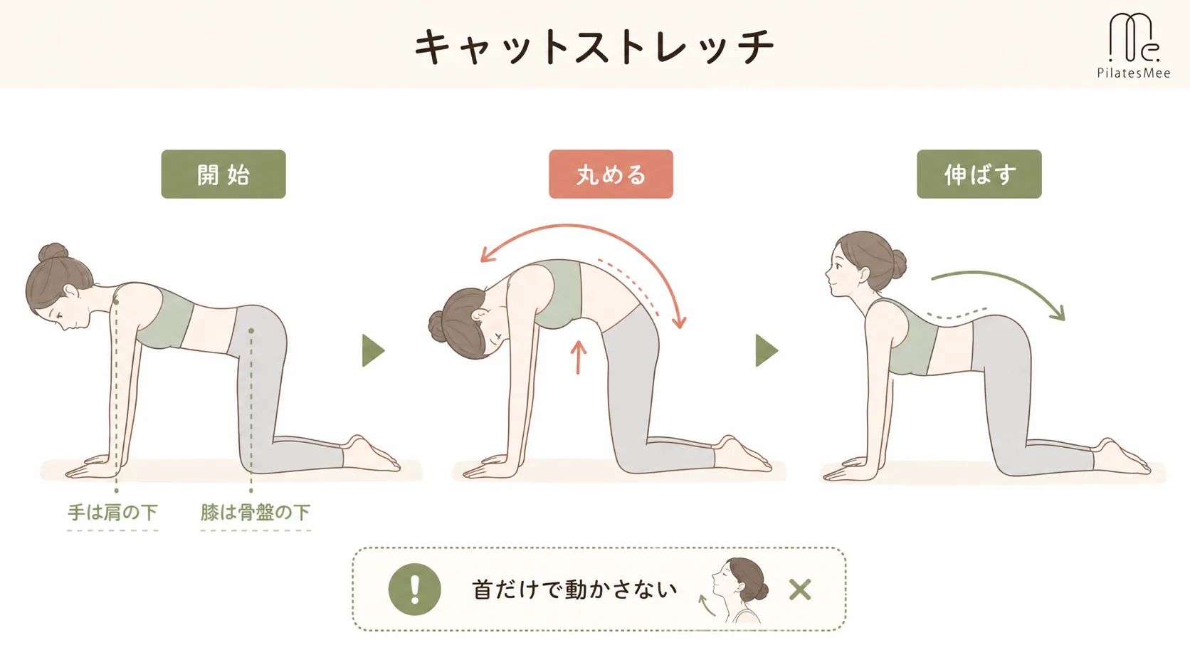 キャットストレッチを説明するPilates Meeの記事内画像