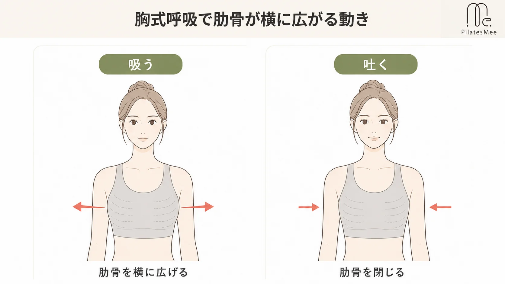 ピラティスの呼吸法は胸式呼吸が基本を説明するPilates Meeの記事内画像