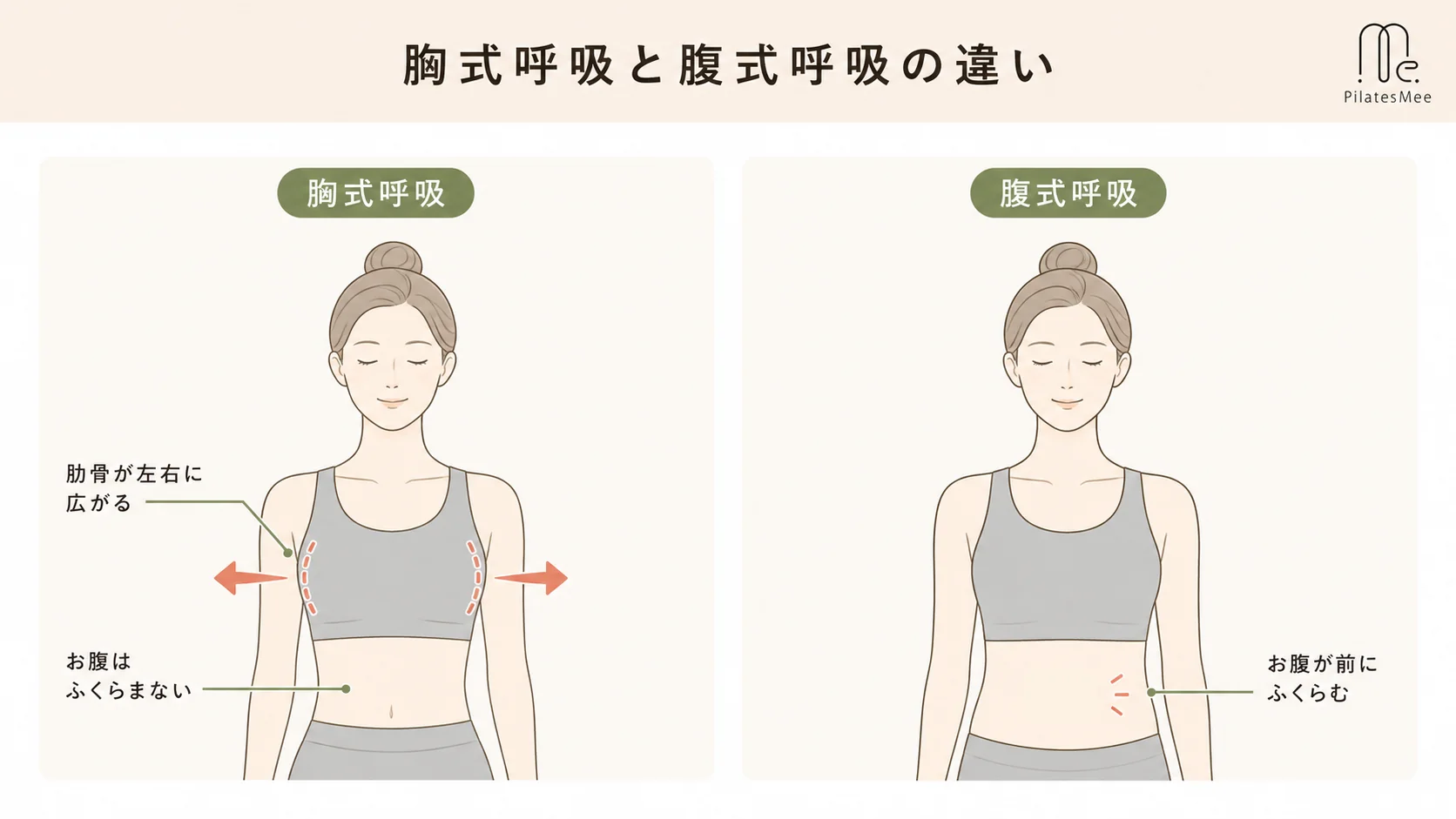胸式呼吸がピラティスの呼吸法として選ばれる理由を説明するPilates Meeの記事内画像