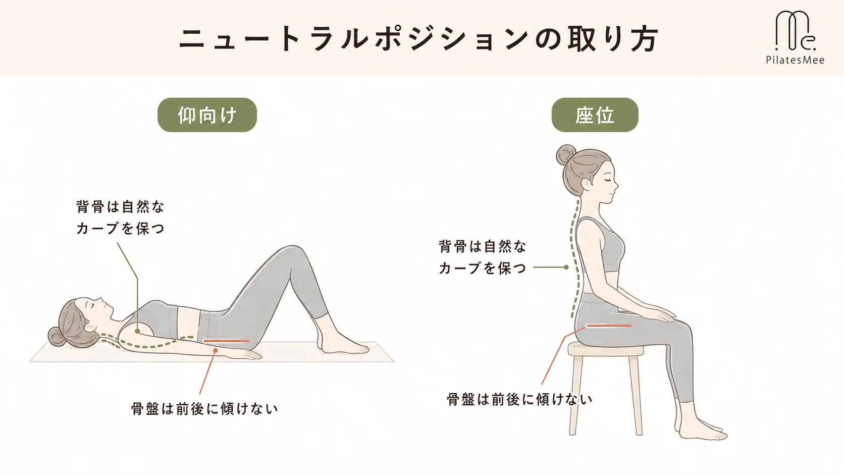 ニュートラルポジションを保つと胸式呼吸がしやすくなるを説明するPilates Meeの記事内画像