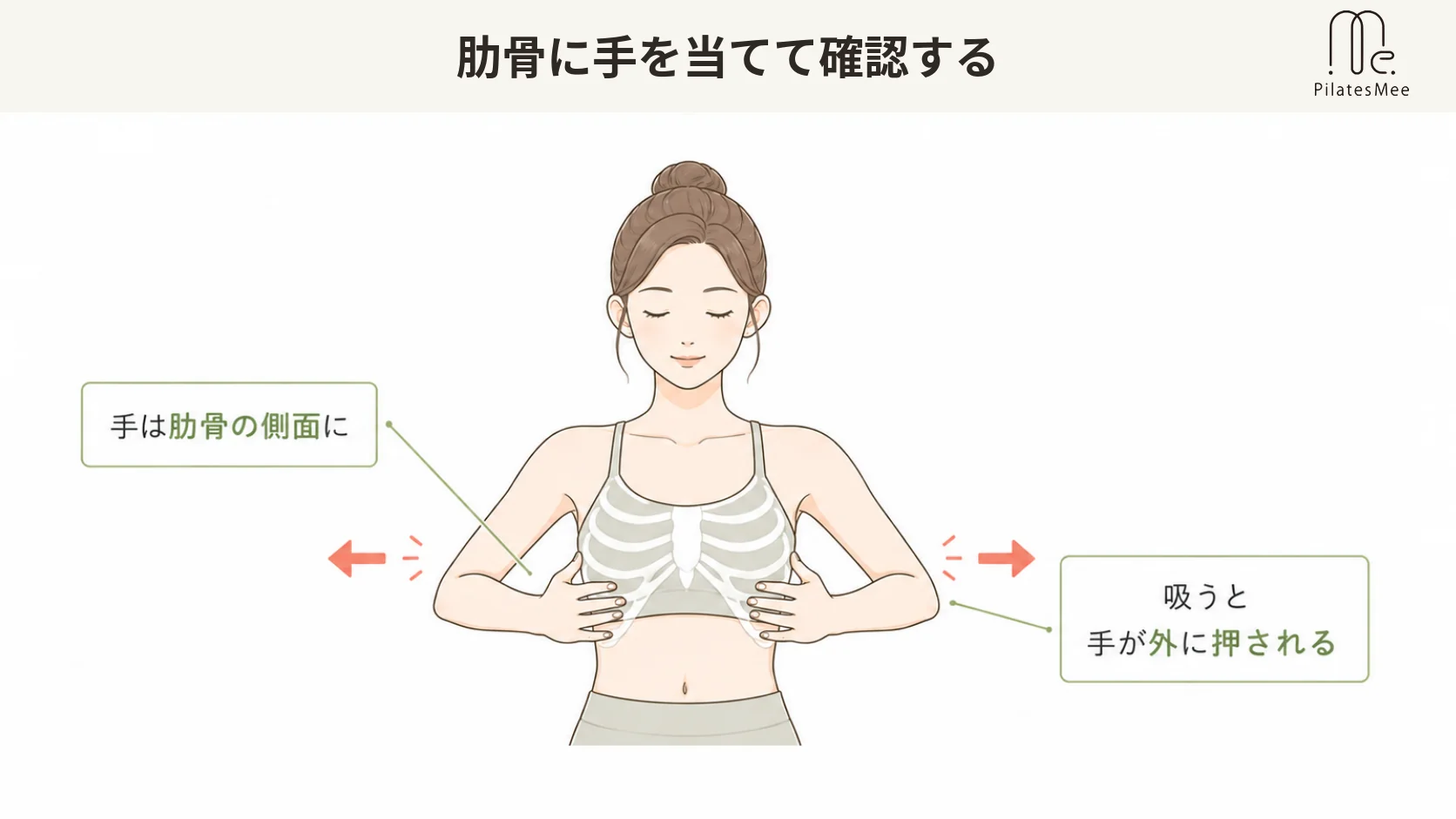 肋骨に手を当てて呼吸の動きを確認するを説明するPilates Meeの記事内画像