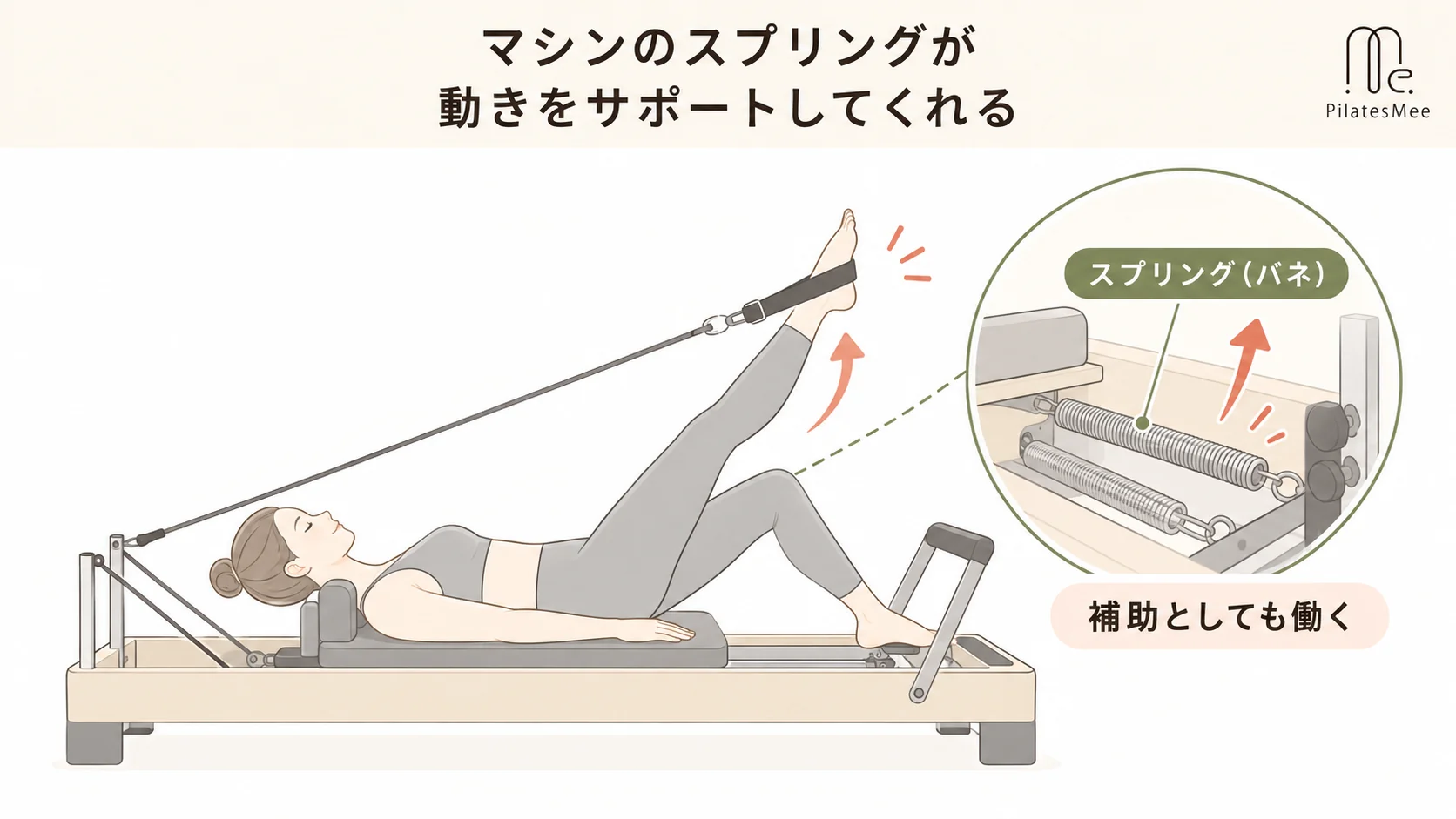 マシンのスプリングが動きをサポートしてくれるを説明するPilates Meeの記事内画像
